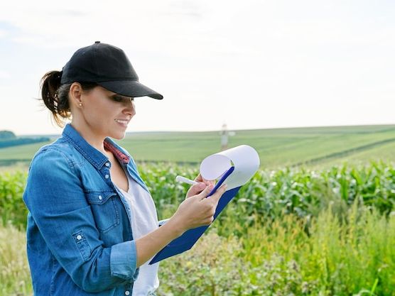 Innowacje w rolnictwie ekologicznym – przewodnik dla nowoczesnych rolników