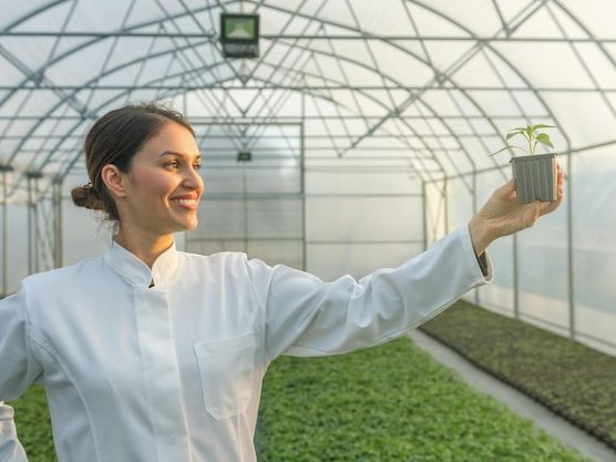 Najlepsze praktyki w nowoczesnym rolnictwie precyzyjnym – jak zwiększyć efektywność i zrównoważenie produkcji