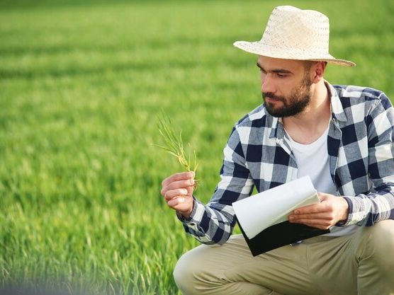 Programy wsparcia dla młodych rolników w Polsce – jak skorzystać z premii i rozwijać gospodarstwo?