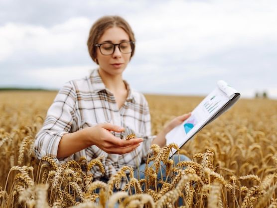 Rolnictwo precyzyjne – jak zwiększyć plony dzięki nowym technologiom