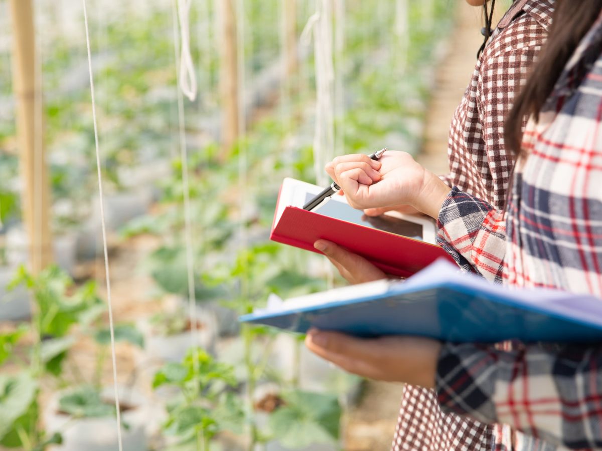 Jak edukacja rolnicza zwiększa efektywność produkcji i wspiera rozwój gospodarstw